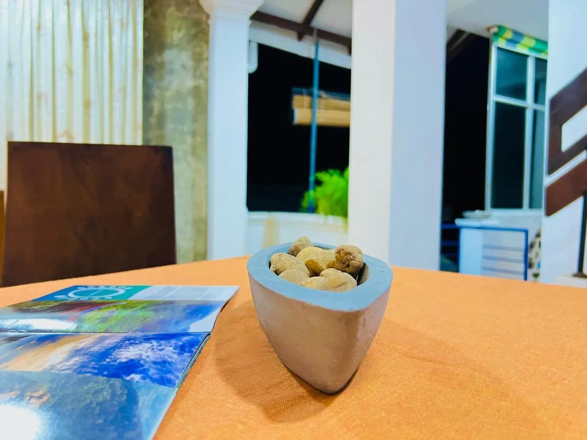 The Backpack By Dorset Otel Negombo Konukevi